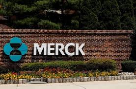 Merck jugded propeccia